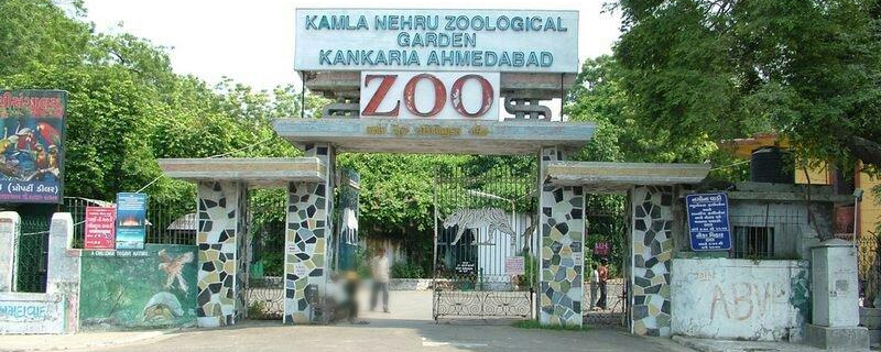 Kamla Nehru Zoo 